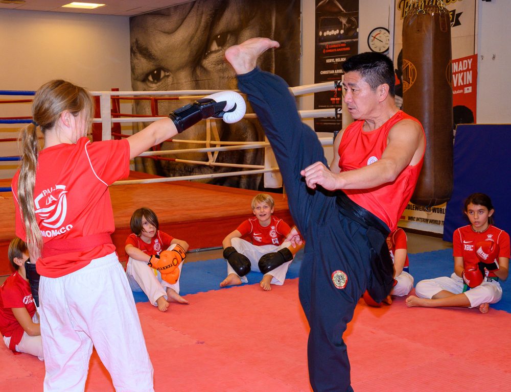 Sanda Boxe STAGE DE WUSHU SANDA (BOXE CHINOISE) DIRIGE PAR MAITRE HOANG NGHI, 7ème ...
