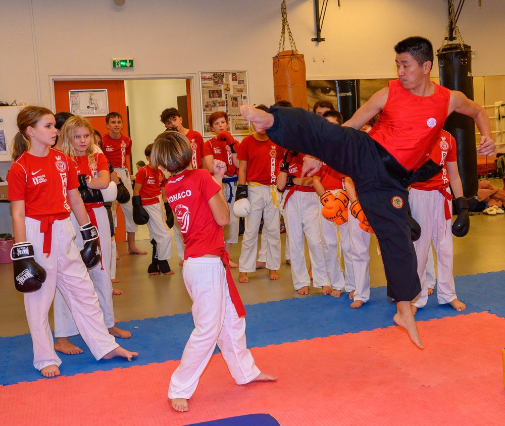 Sanda Boxe STAGE DE WUSHU SANDA (BOXE CHINOISE) DIRIGE PAR MAITRE HOANG NGHI, 7ème ...